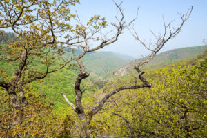 Ausblick auf dem Weg zur Ehrbachklamm Ausblick auf dem Weg zur Ehrbachklamm